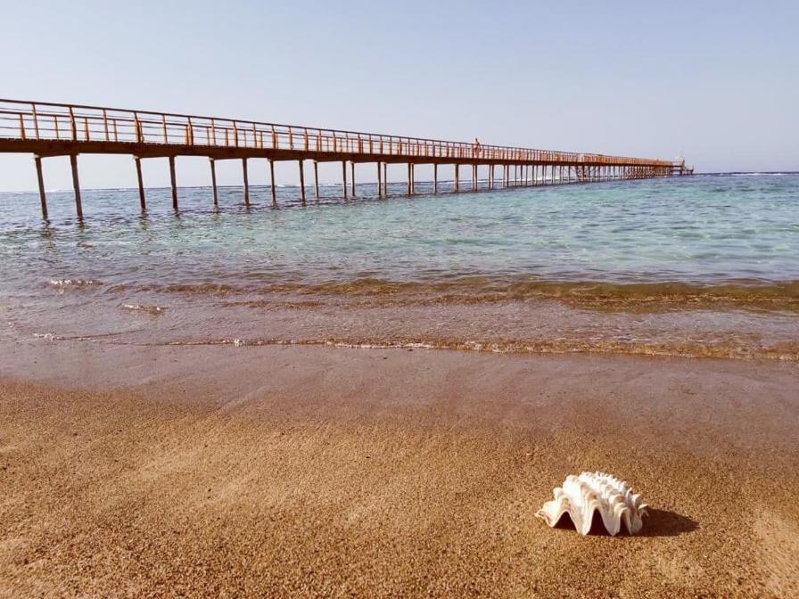 لازولي — 21
