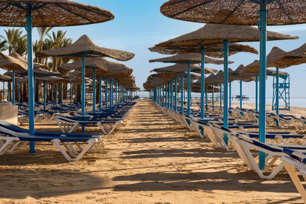 مارينا راديسون — 12