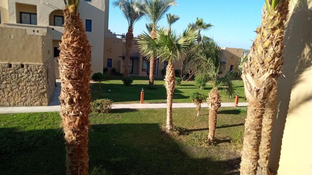 مارينا لودج — 18
