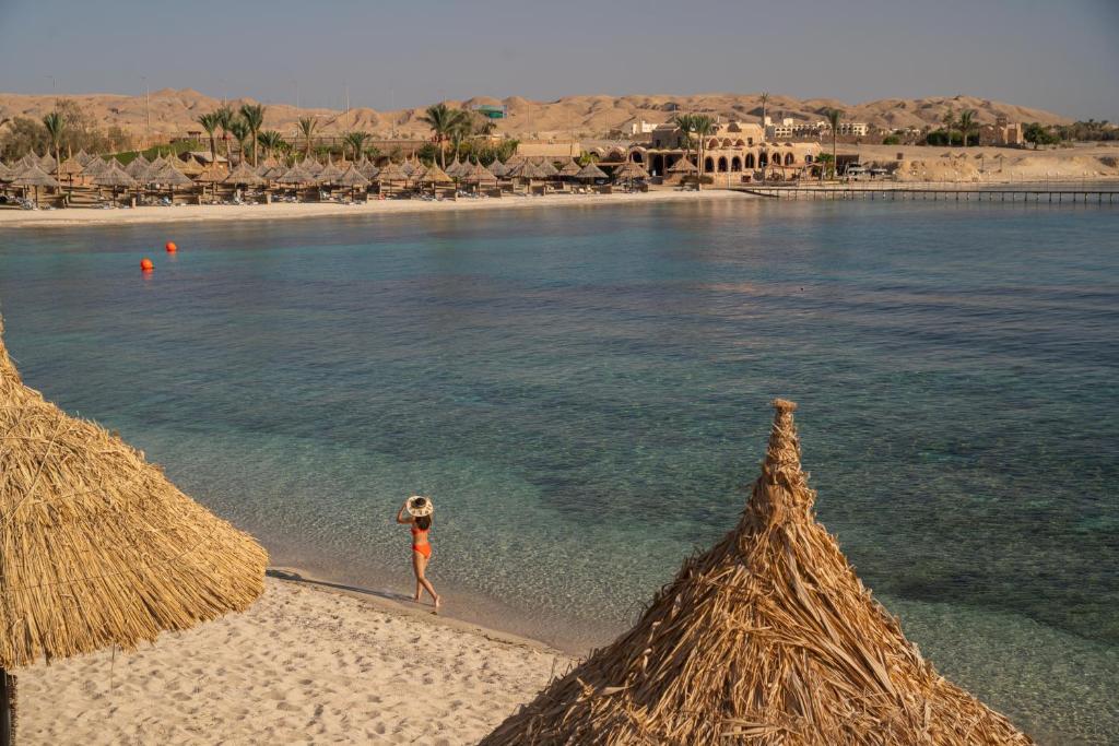 موفنبيك القصير — 5