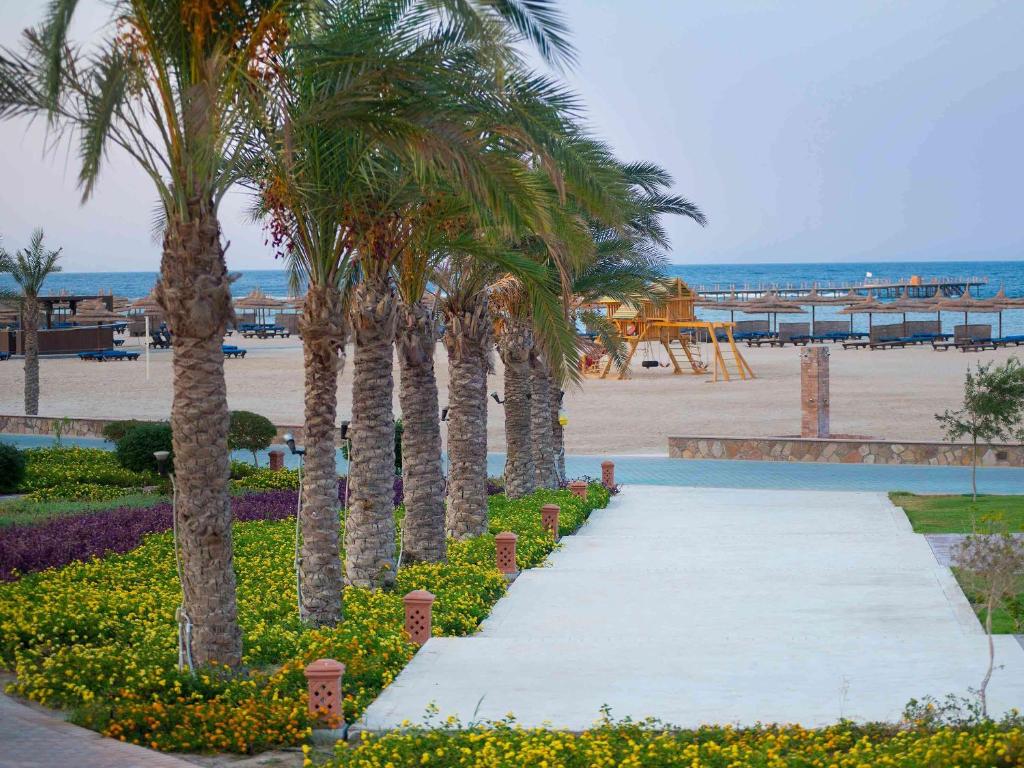 نوفوتيل — 20