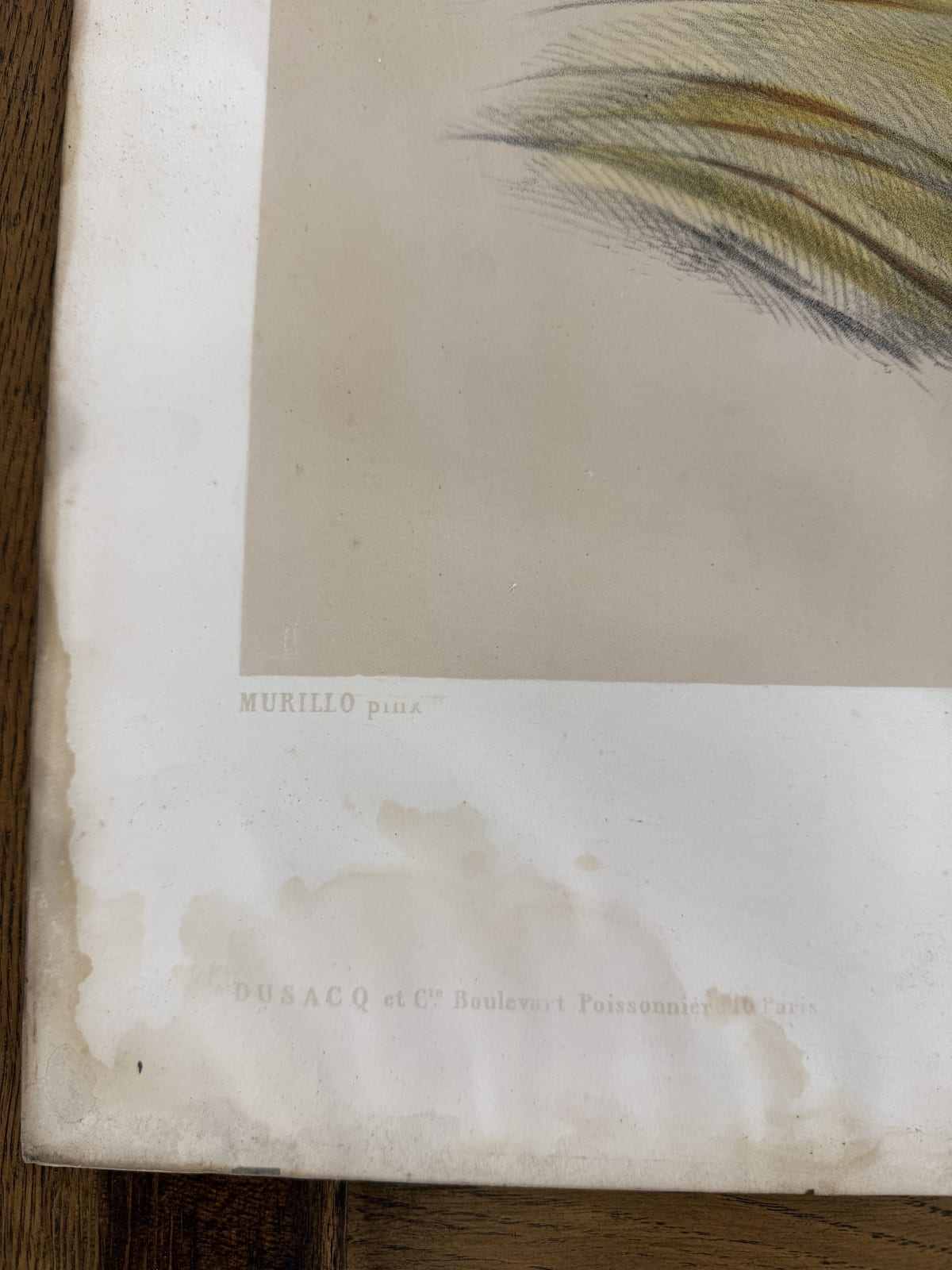 Sv. Josef s Ježíškem – kolorovaná litografie podle Murilla, Paříž, 19. století — fotka 3
