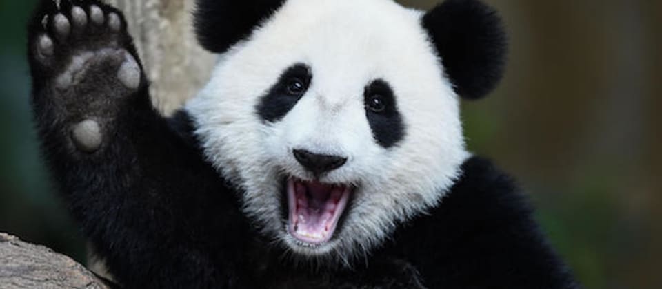 Exploratory data analysis with Pandas: Sorting (Part~2)