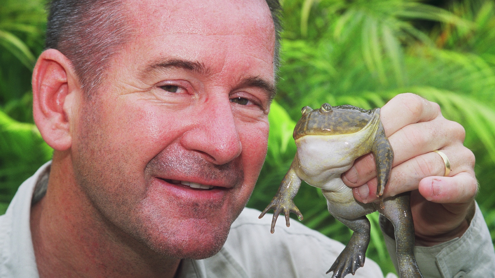 Найджел марвин прогулки с динозаврами. Найджел марвин прогулки с динозаврами. Найджел марвин прогулки с динозаврами. Змеи с найджелом марвином. Найджел марвин.