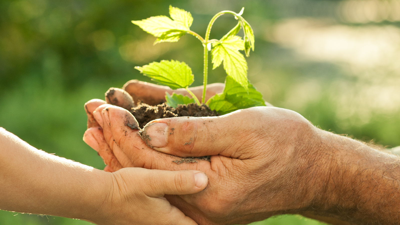 Find out More About Conservation Charities Charity Organisations