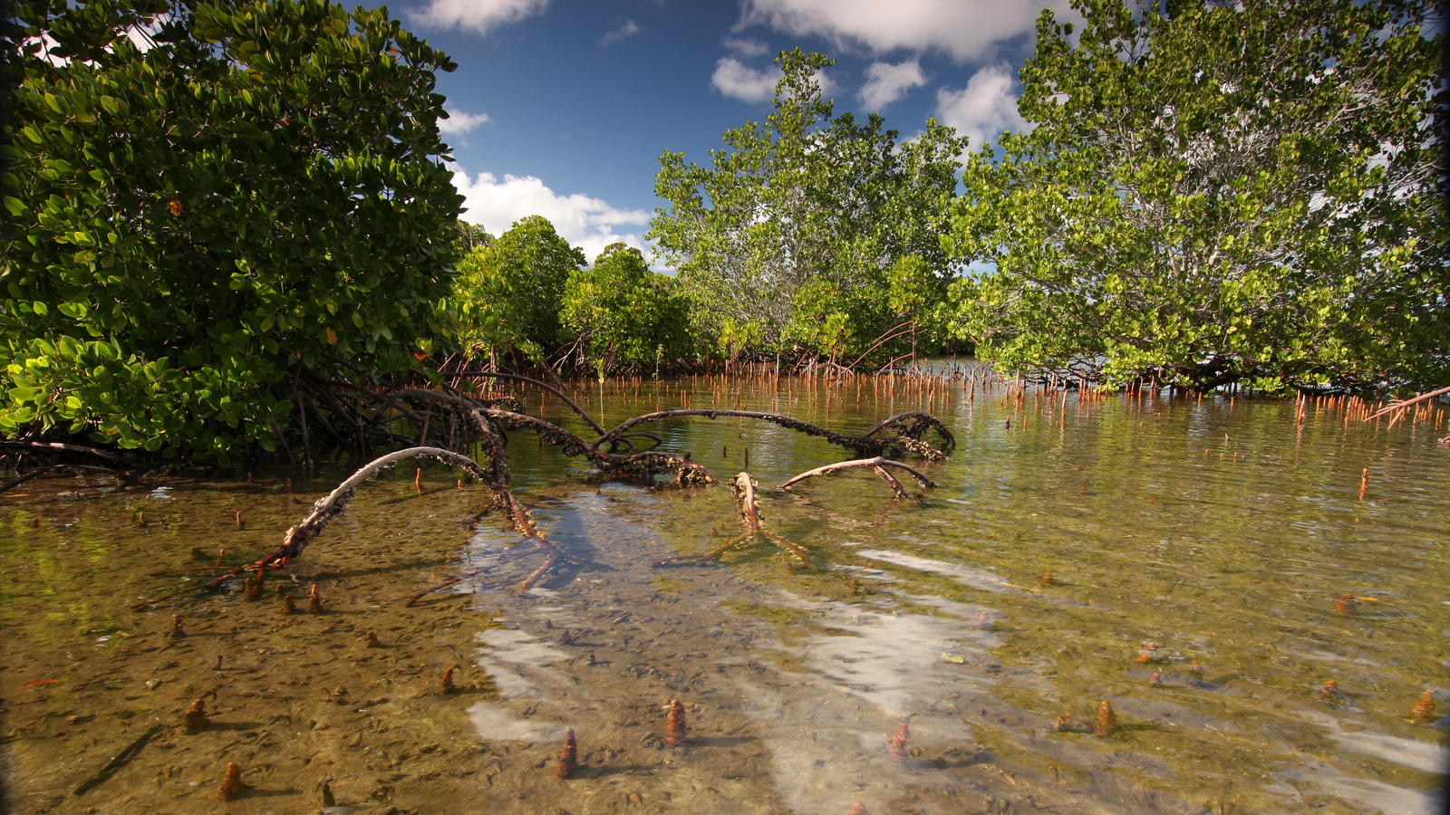 The Lost Lagoon Eden Channel