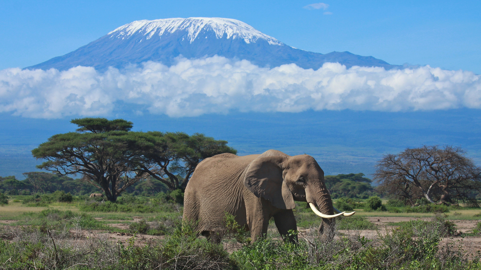 Climb Mount Kilimanjaro Where to go in September Lonely A