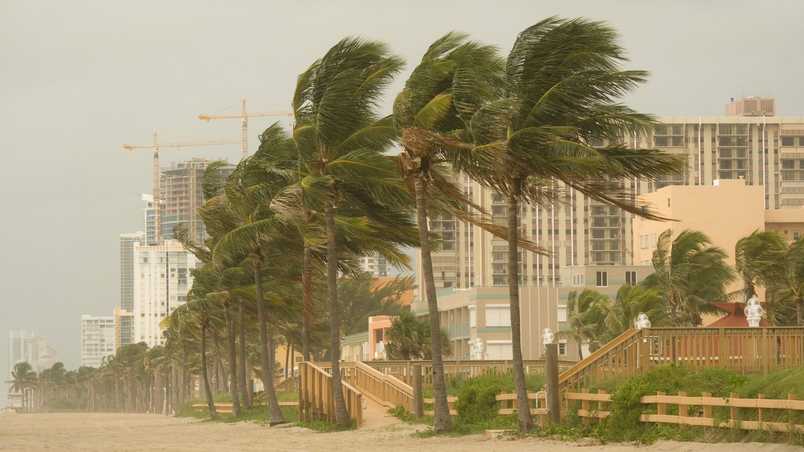 Weather Caught on Camera Eden Channel