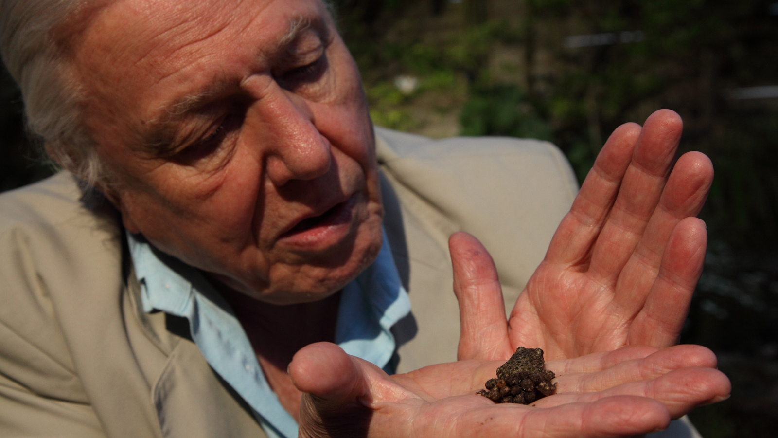 Attenboroughs Natural Curiosities Series 2 07of10 Life on