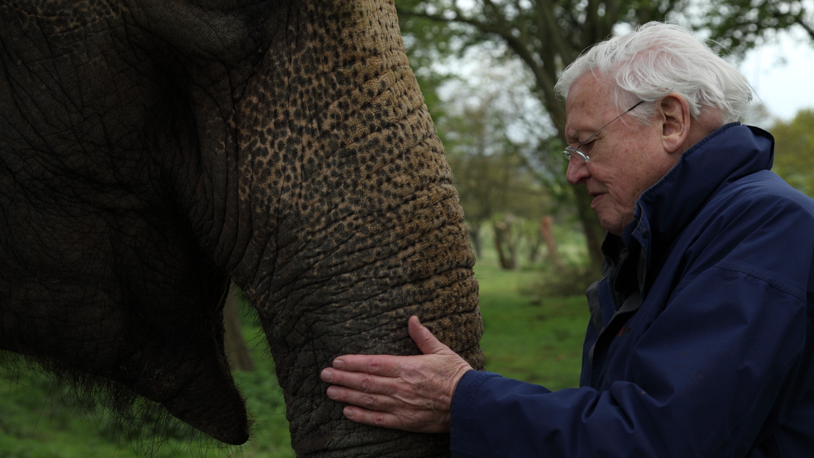 Young Wrinklies Episode 3 Series 1 Natural Curiosities Episode Guide David Attenborough s 