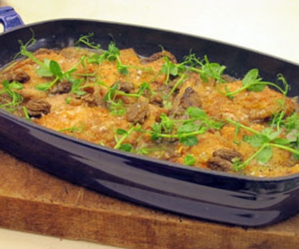 Baked fennel chicken with morel and madeira sauce Good Food Channel