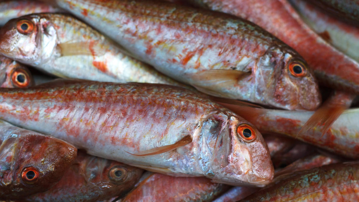 Red Mullet | Ingredients | Discover | Good Food Channel