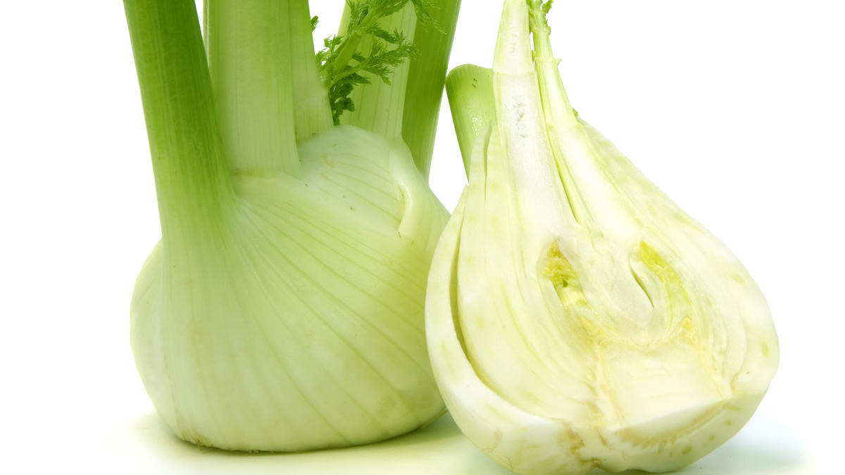 Fennel Ingredients Discover Good Food Channel