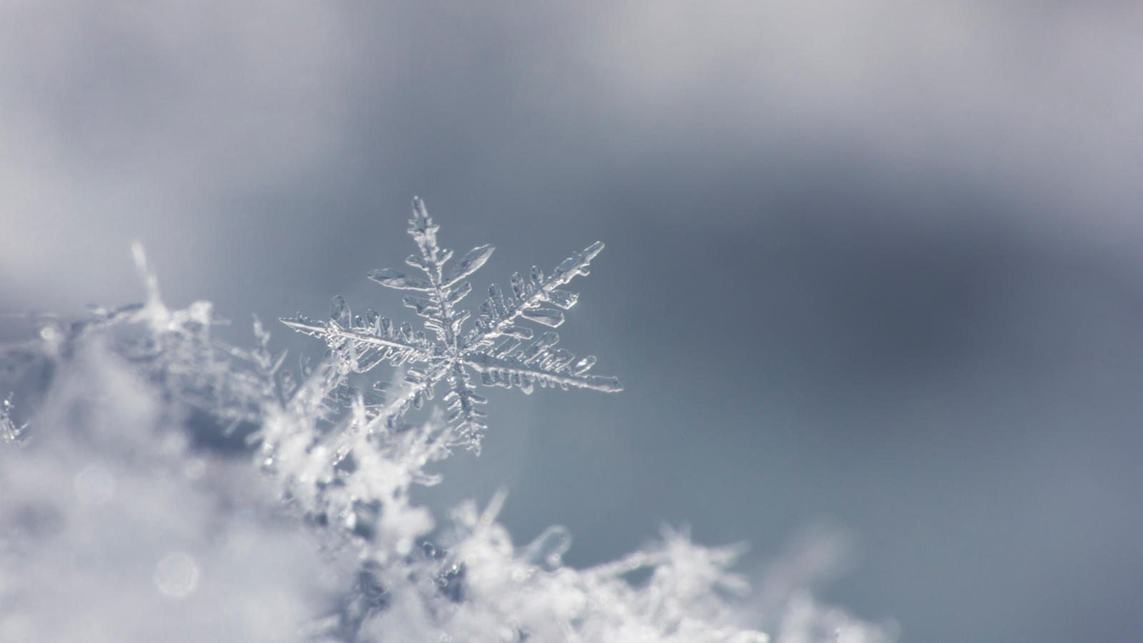 The Science of Snowflakes | Yesterday's Articles | Yesterday Channel