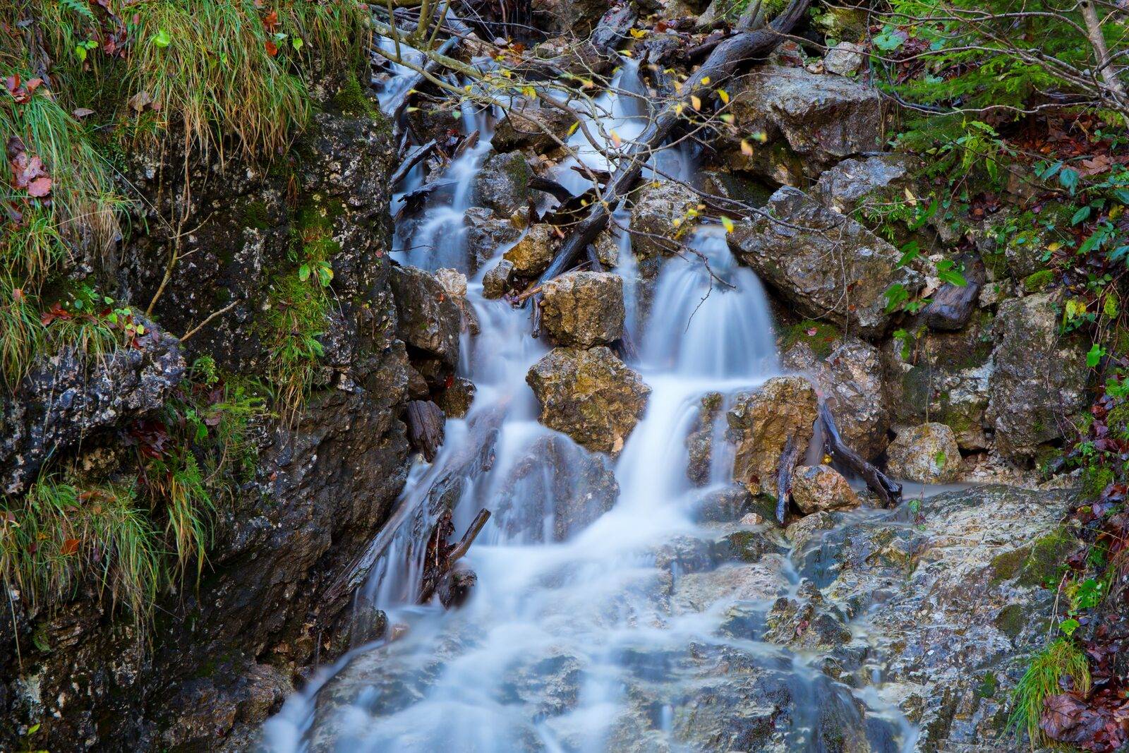 Wildnisgebiet Dürrenstein-Lassingtal, Bild 2