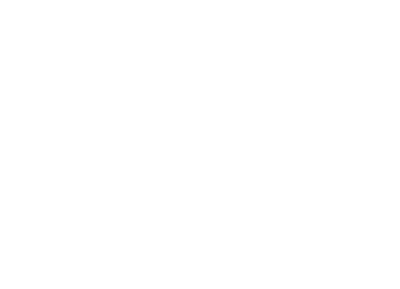 Logo Südkärnten
