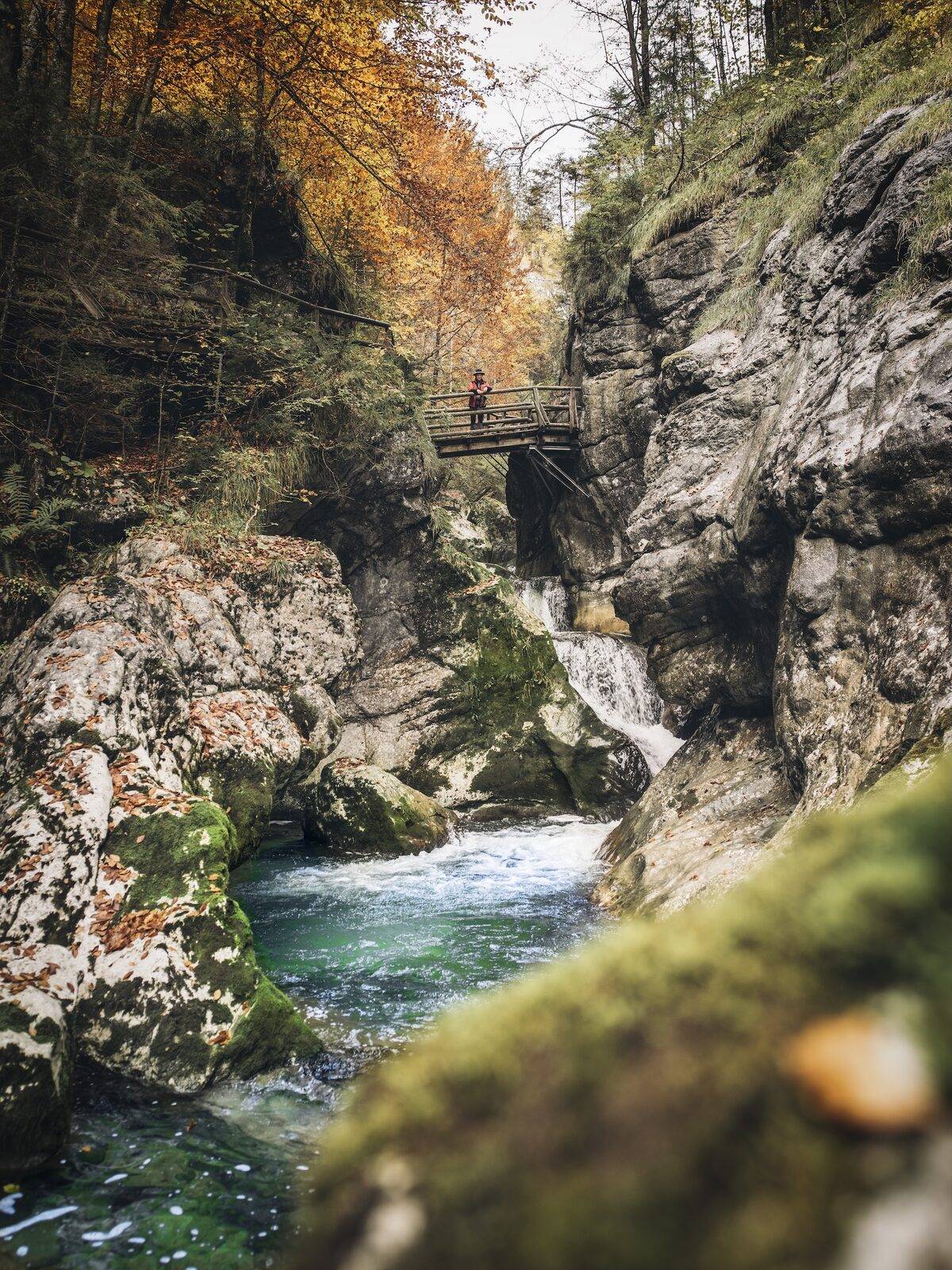 Natur und Geopark Steirische Eisenwurzen, Bild 2