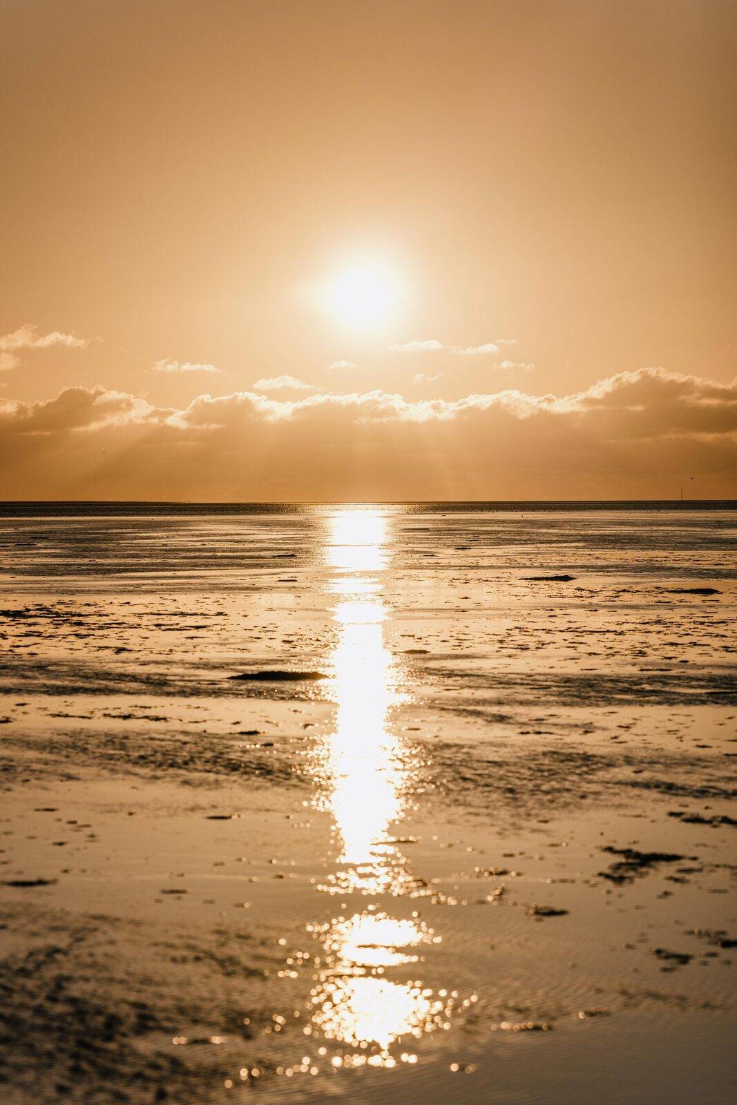 Nordseeküste Nordfriesland, Bild 3
