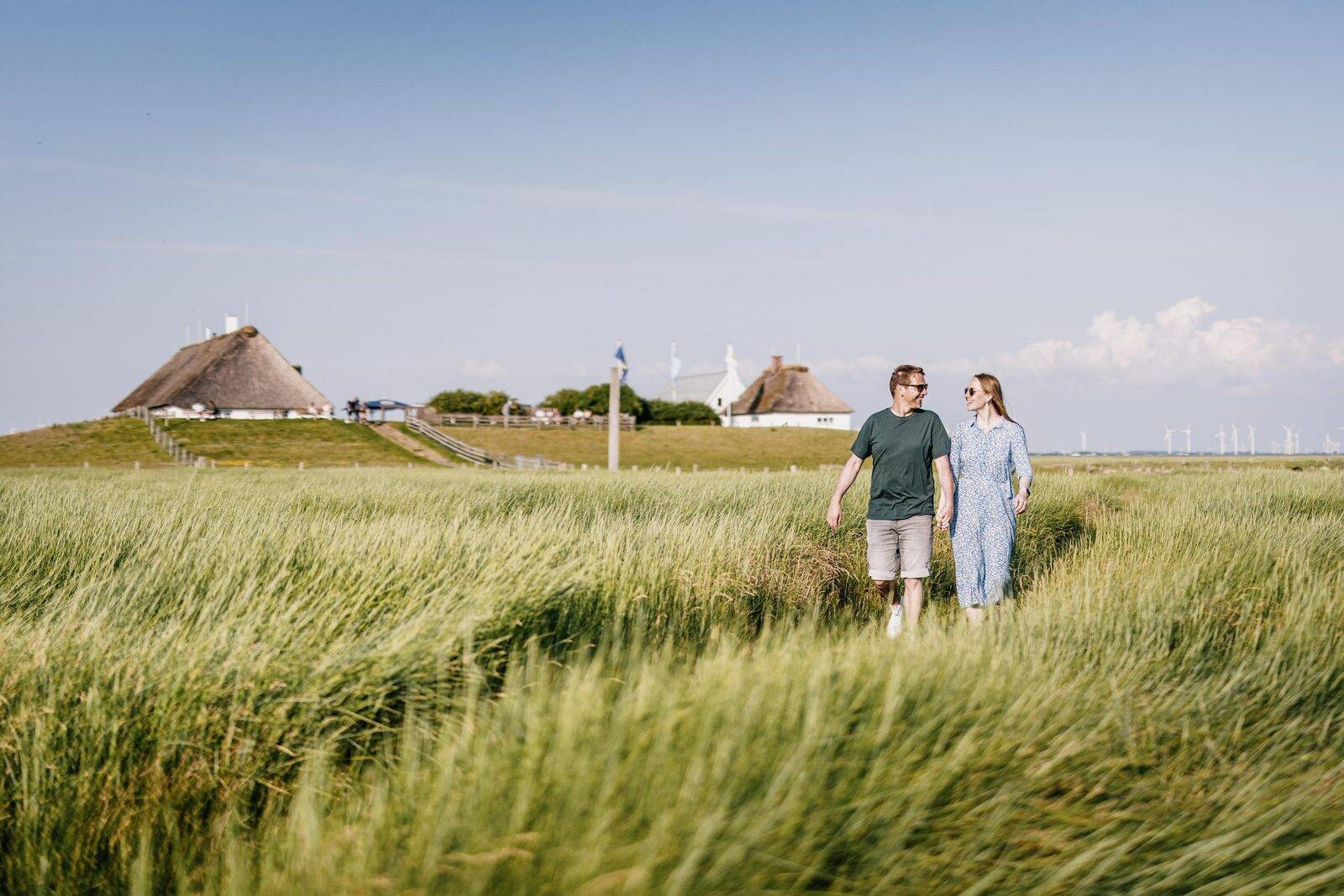 Nordseeküste Nordfriesland, Bild 7