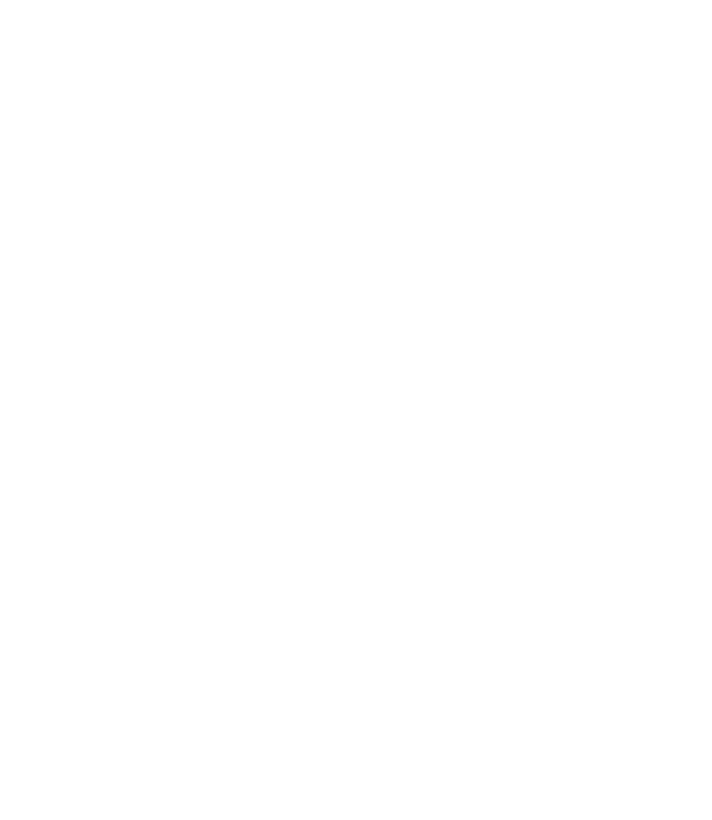 Logo Schlossfestival Bruchsal