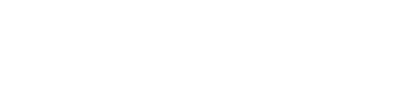 Logo Armellini