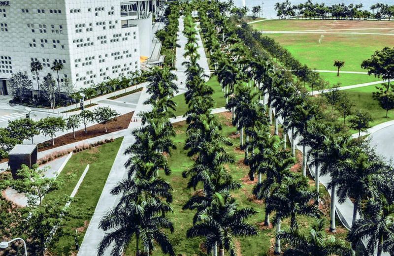 Aerial View Landscaping