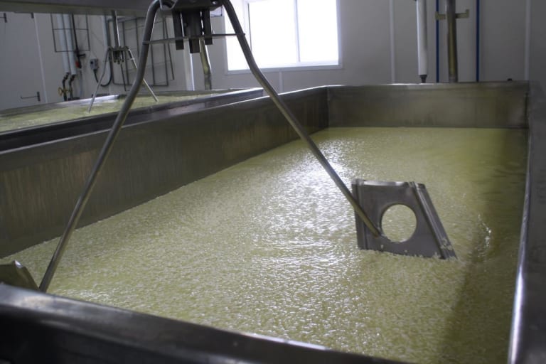 Universidade britânica transforma soro salgado de queijo em bioetanol combustível