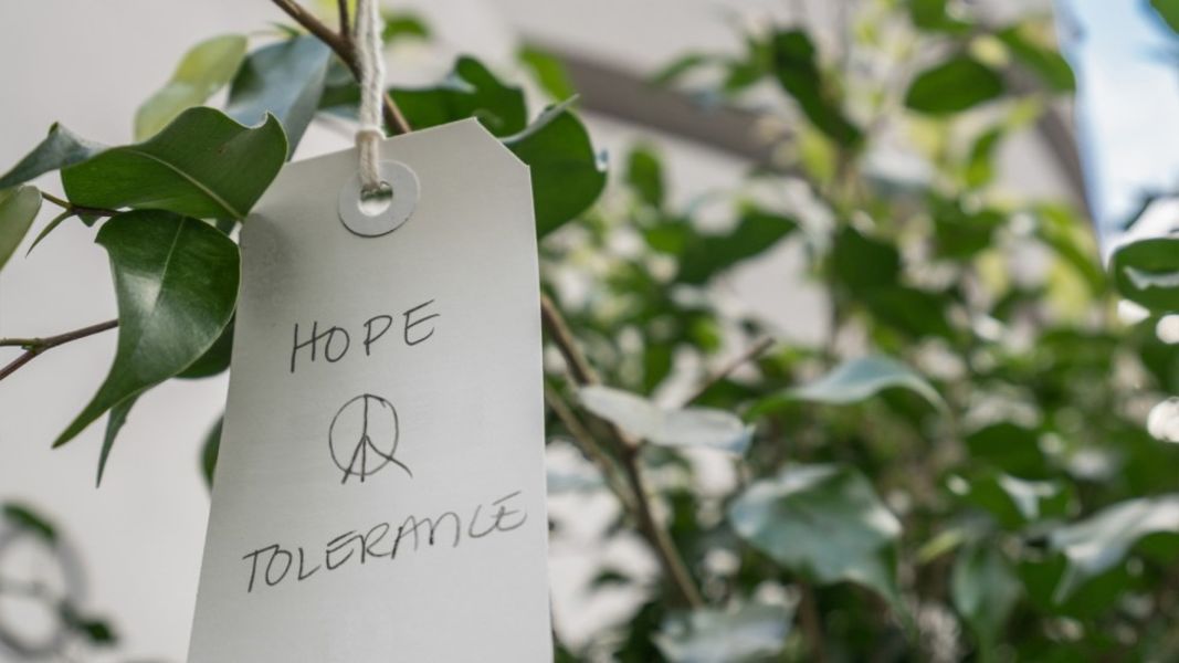 Yoko Ono: Wish Tree Garden Yoko Ono: Wish Tree Garden