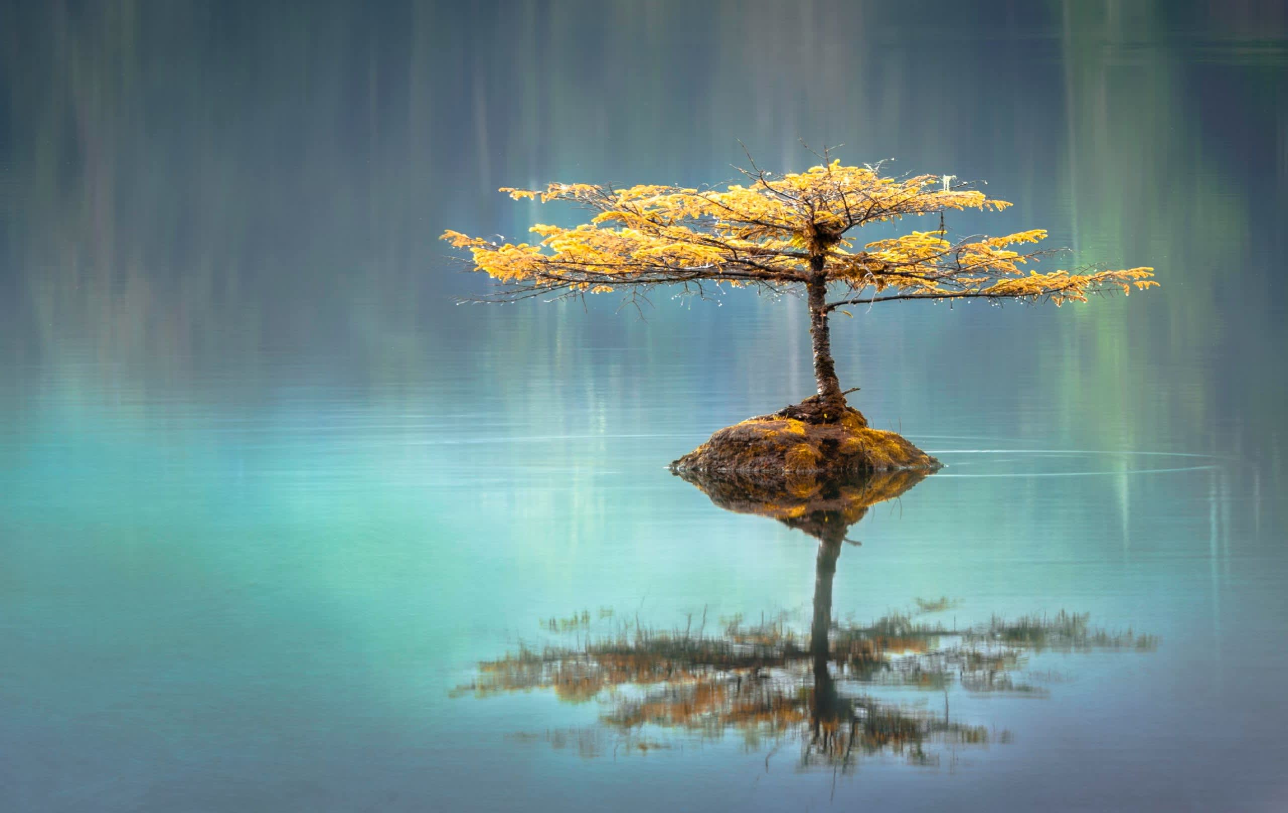 The I Ching: From Ancient China to Your Acupuncture Appointment