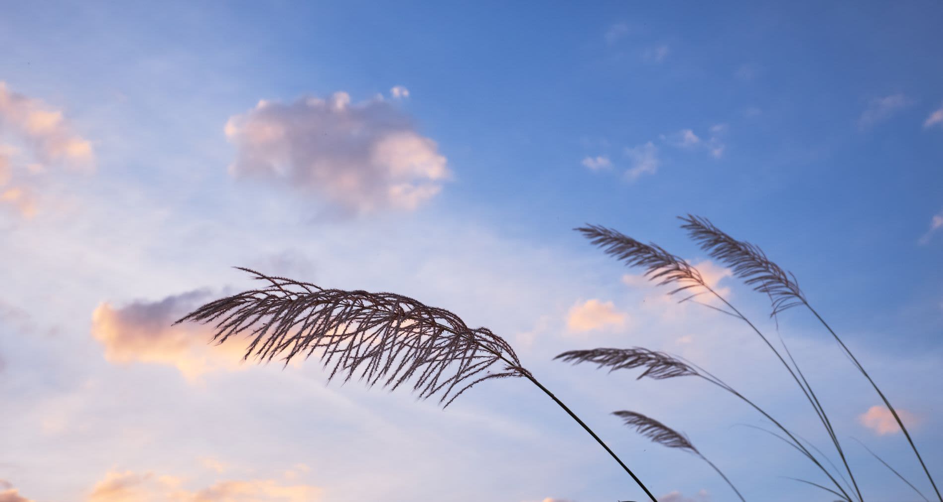 Therapeutic Hypnosis – What can it do for me?