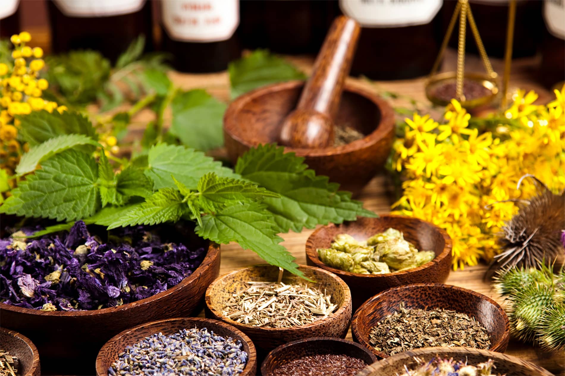Western Herbal Medicine Gold Coast Ultra Health Therapies
