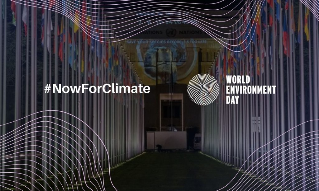 Global Renewable Energy Accord Reaches Multilateral Signing in Geneva