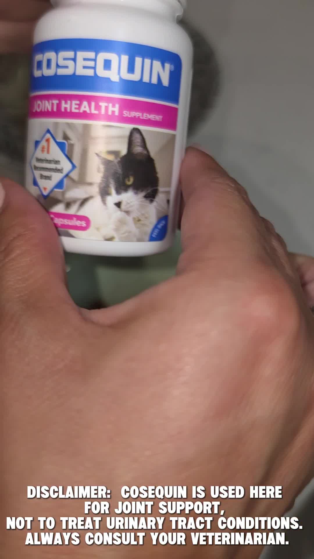 Pet Wellness Supplements — video cover frame