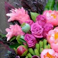 Designer's Choice Flowers