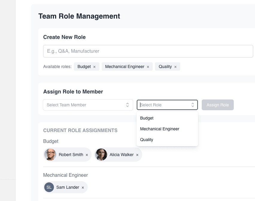 Team role management