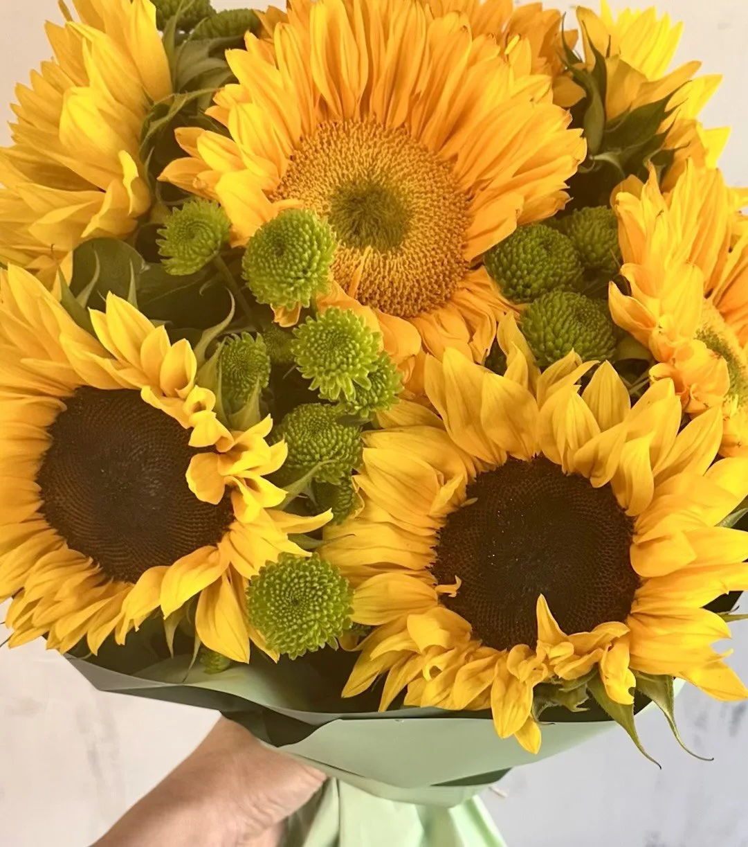 7 Sunflowers
