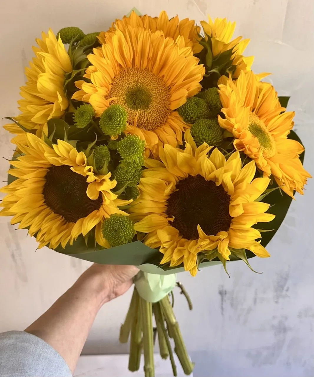 7 Sunflowers