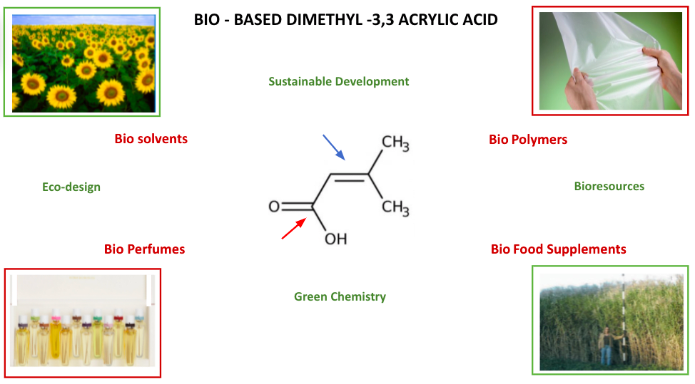 Bio acrylic resin, C15H22O6