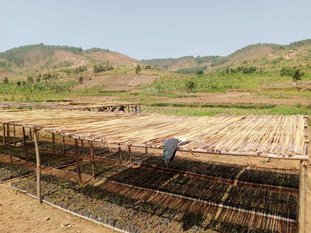Food Security and Livelihood