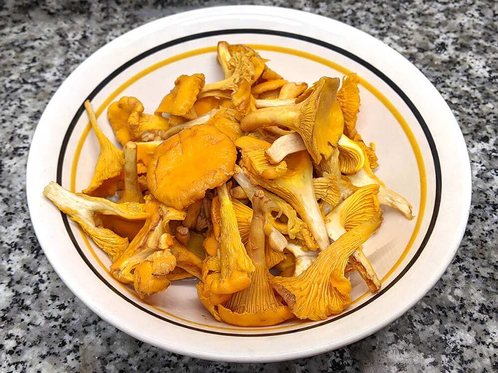 Rebozuelos limpios.