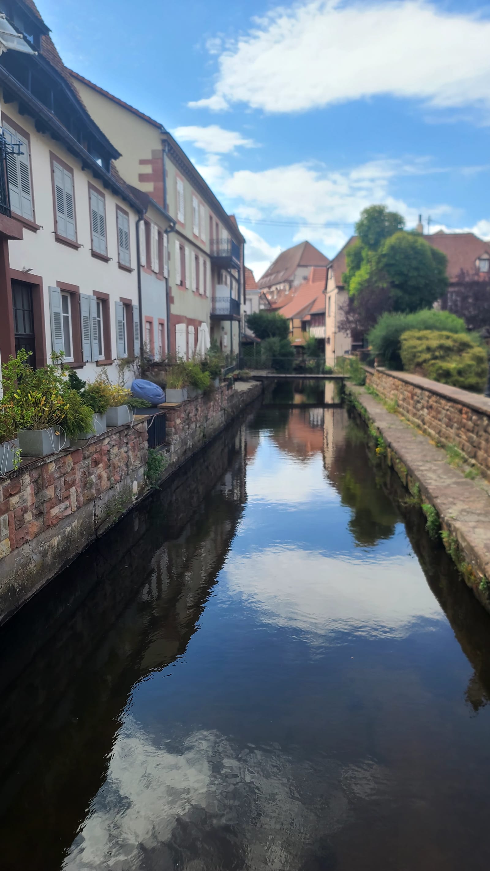 Wissembourg → Wingen