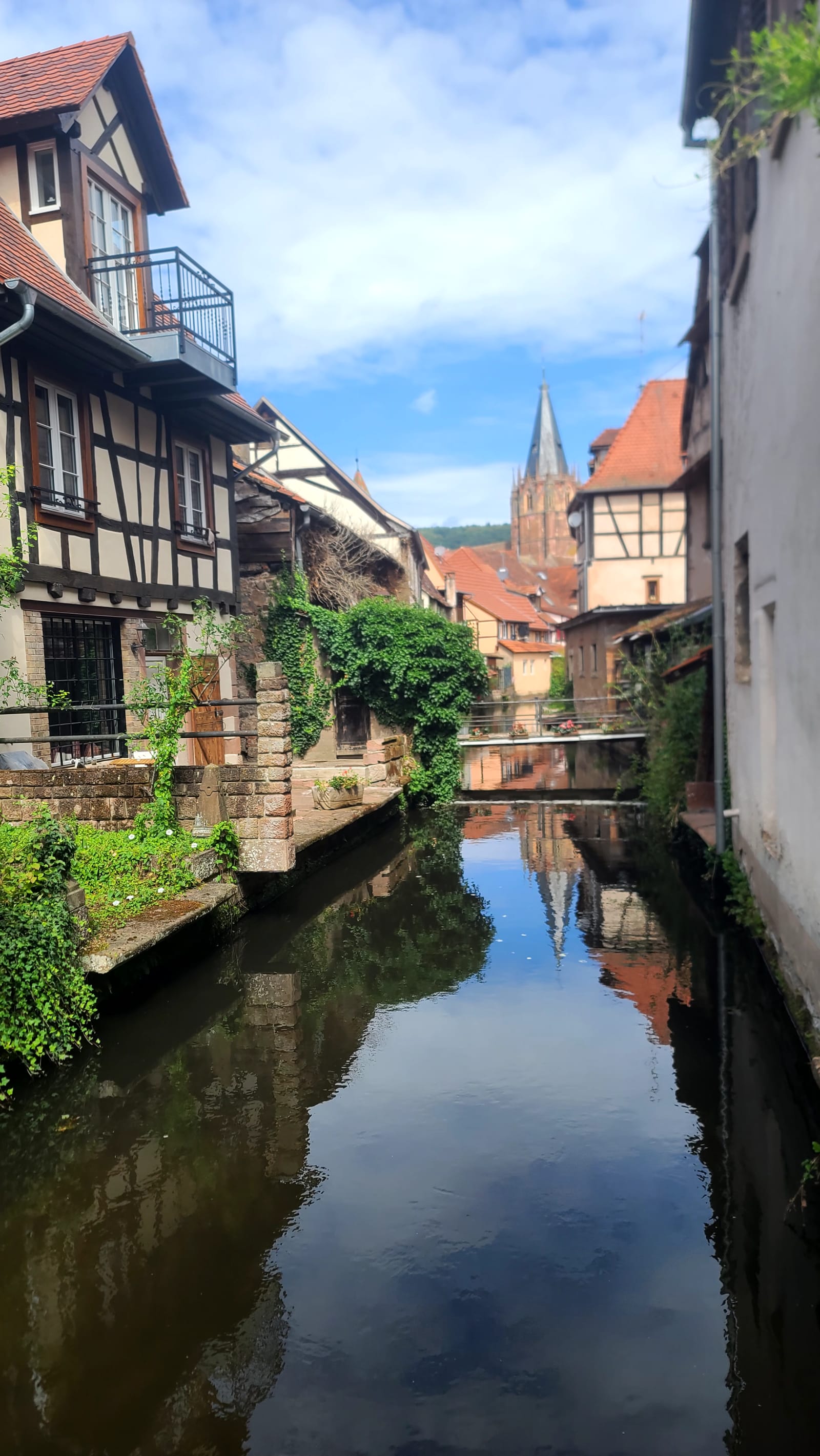 Wissembourg → Wingen
