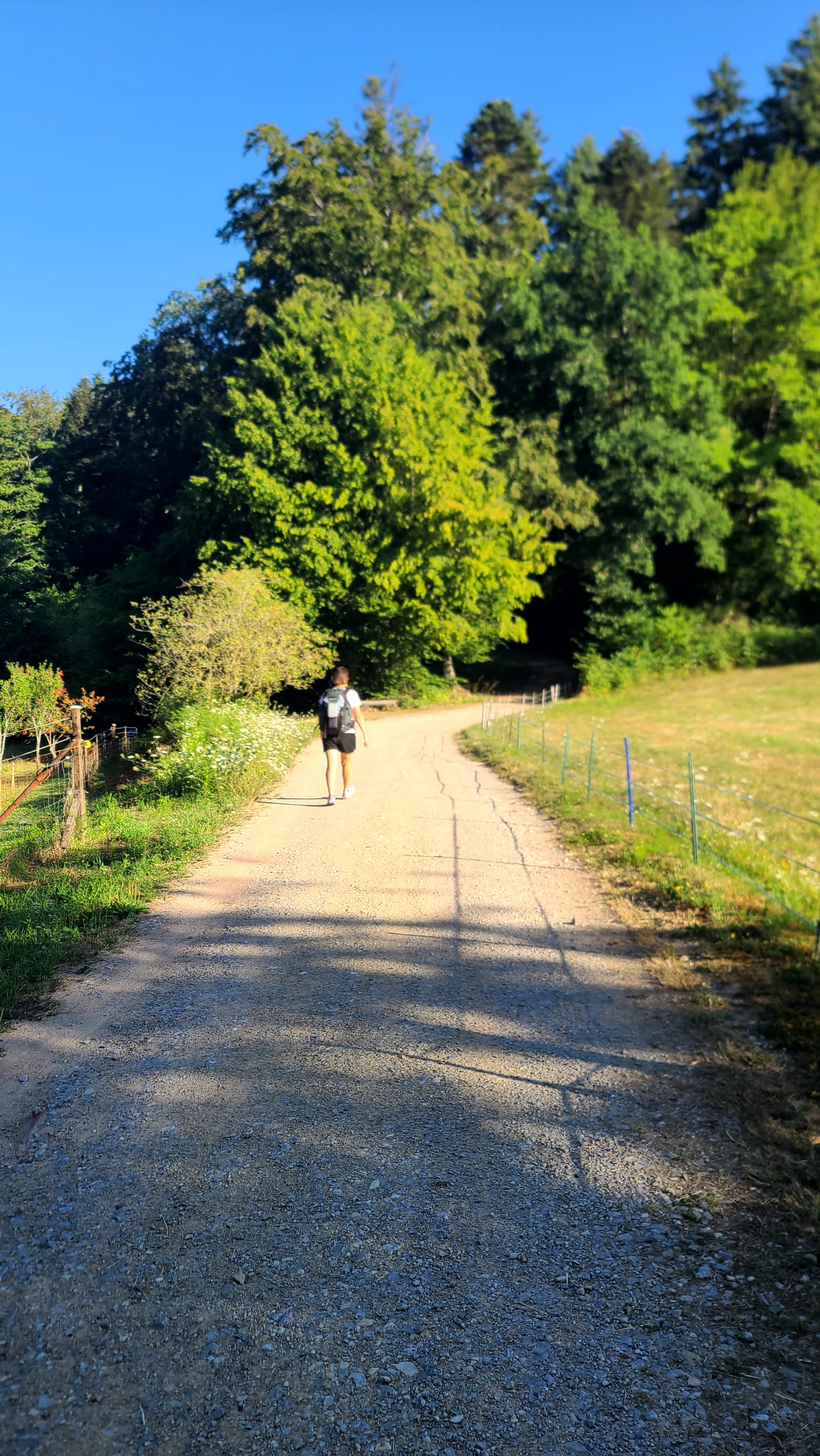 Wingen → Obersteinbach