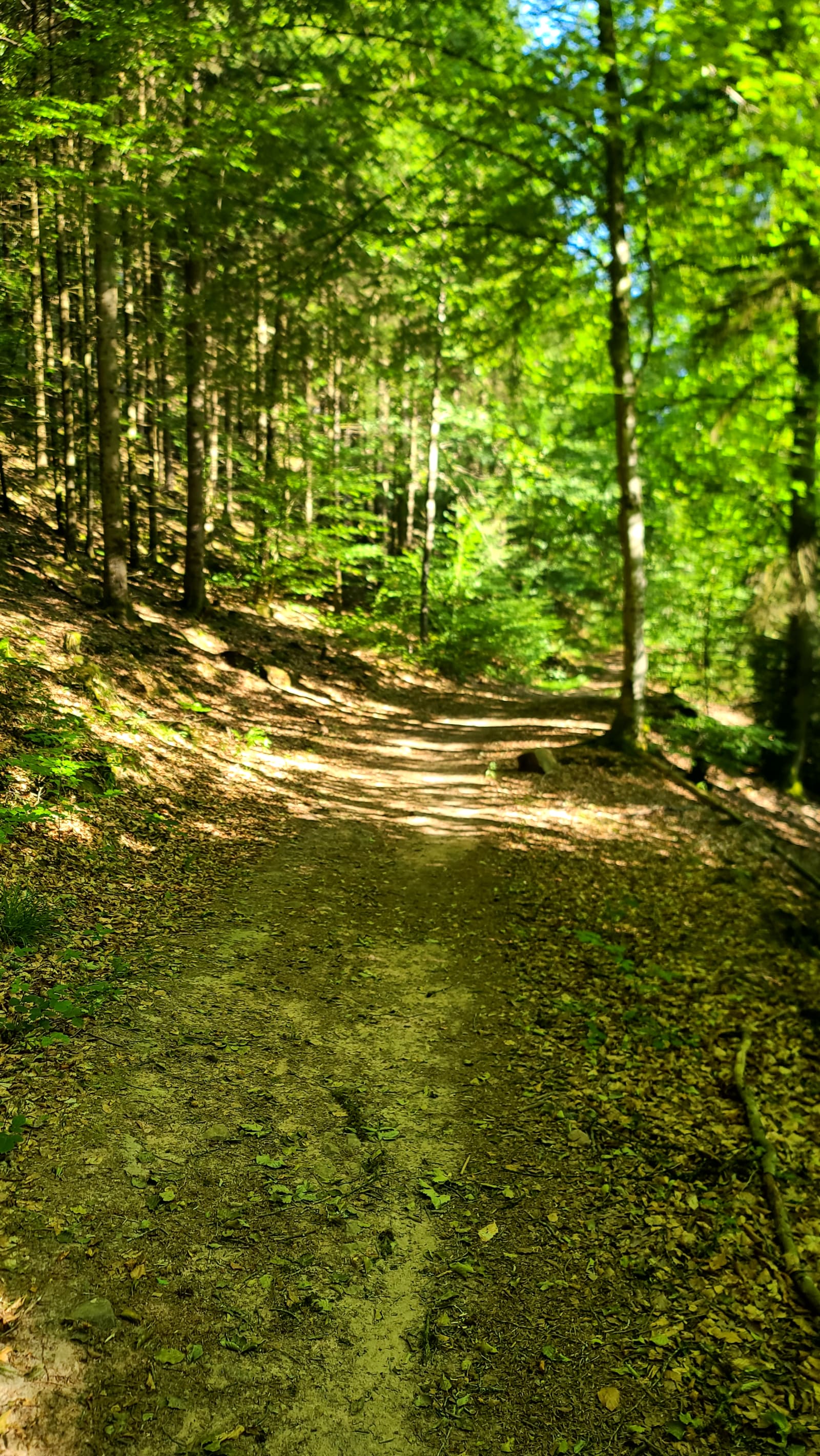 Wingen → Obersteinbach