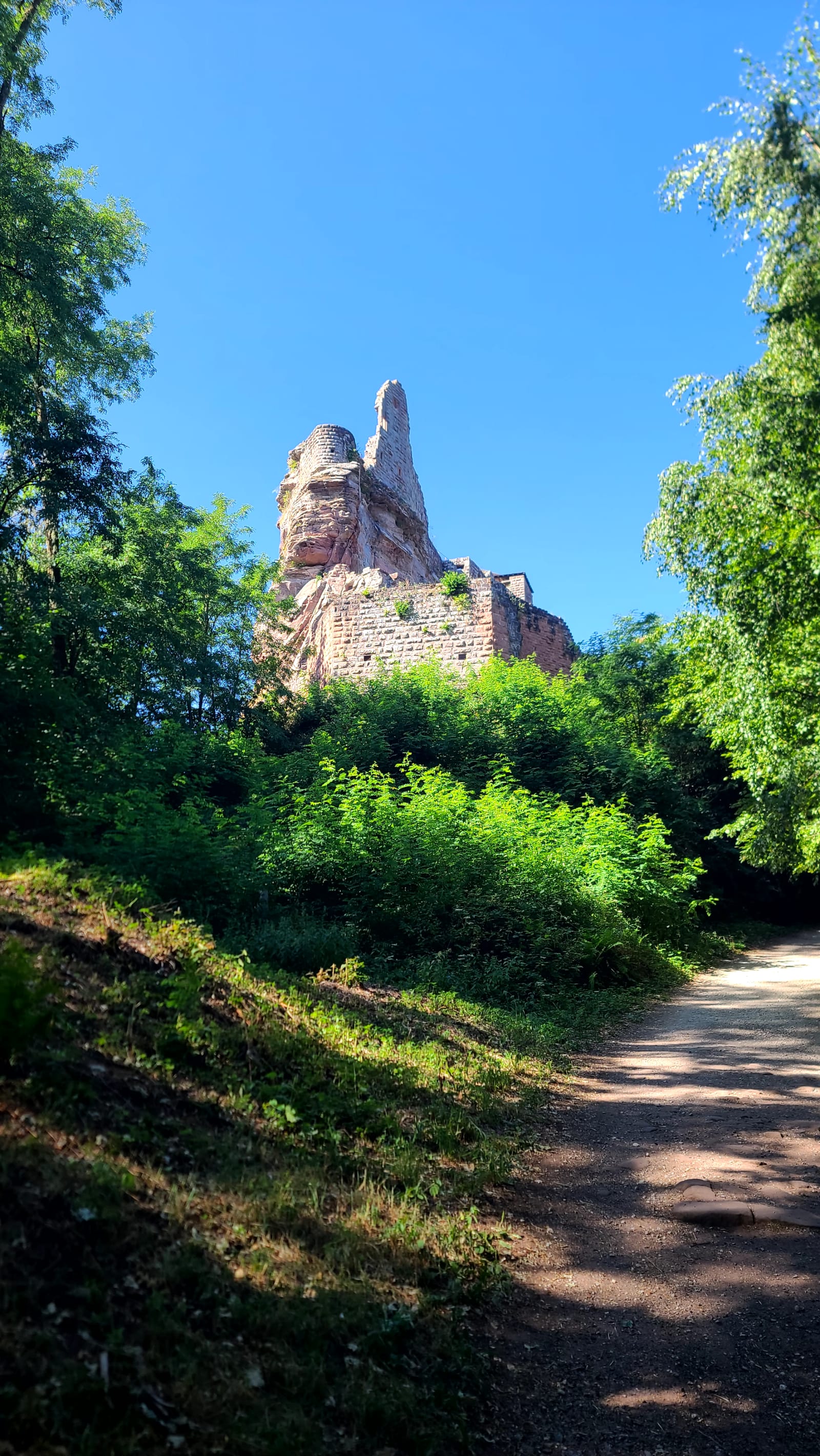 Petit détour par le château de Fleckenstein : Très beau !