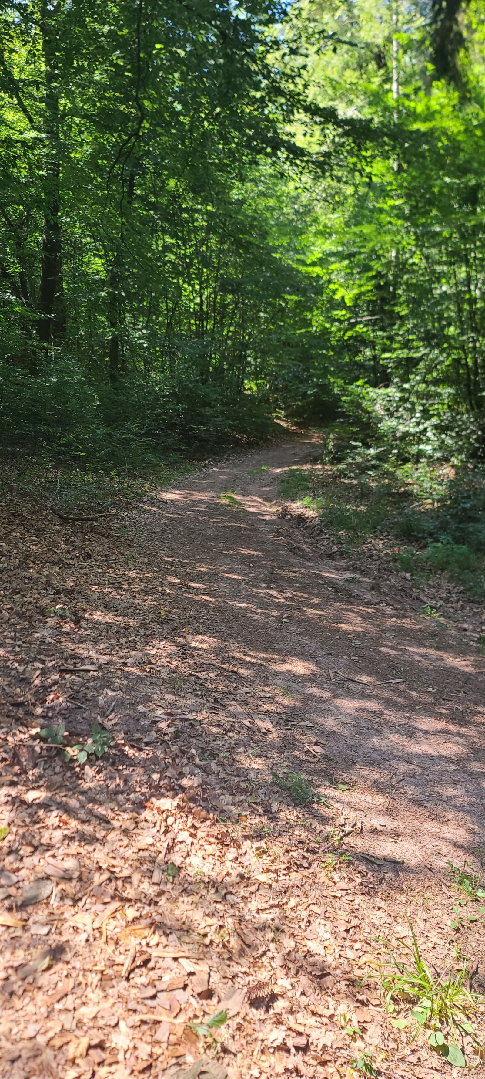 Juste avant le passage le plus difficile de la rando.