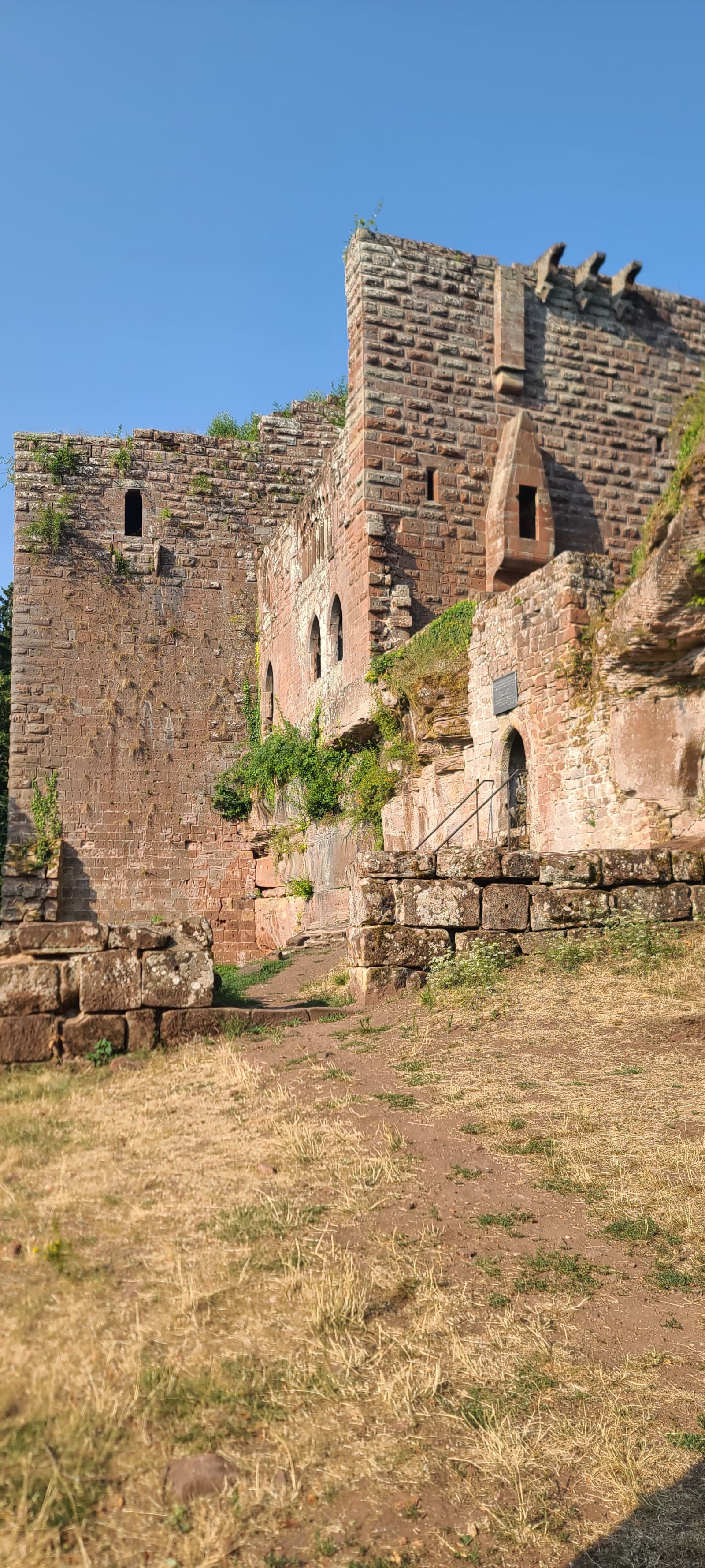 230 m de dénivelé non-stop pour arriver au château de Wasenbourg !