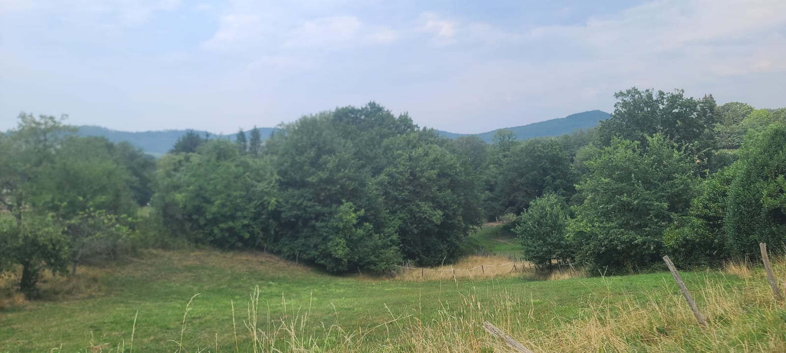 Arrivée à Lichtenberg !