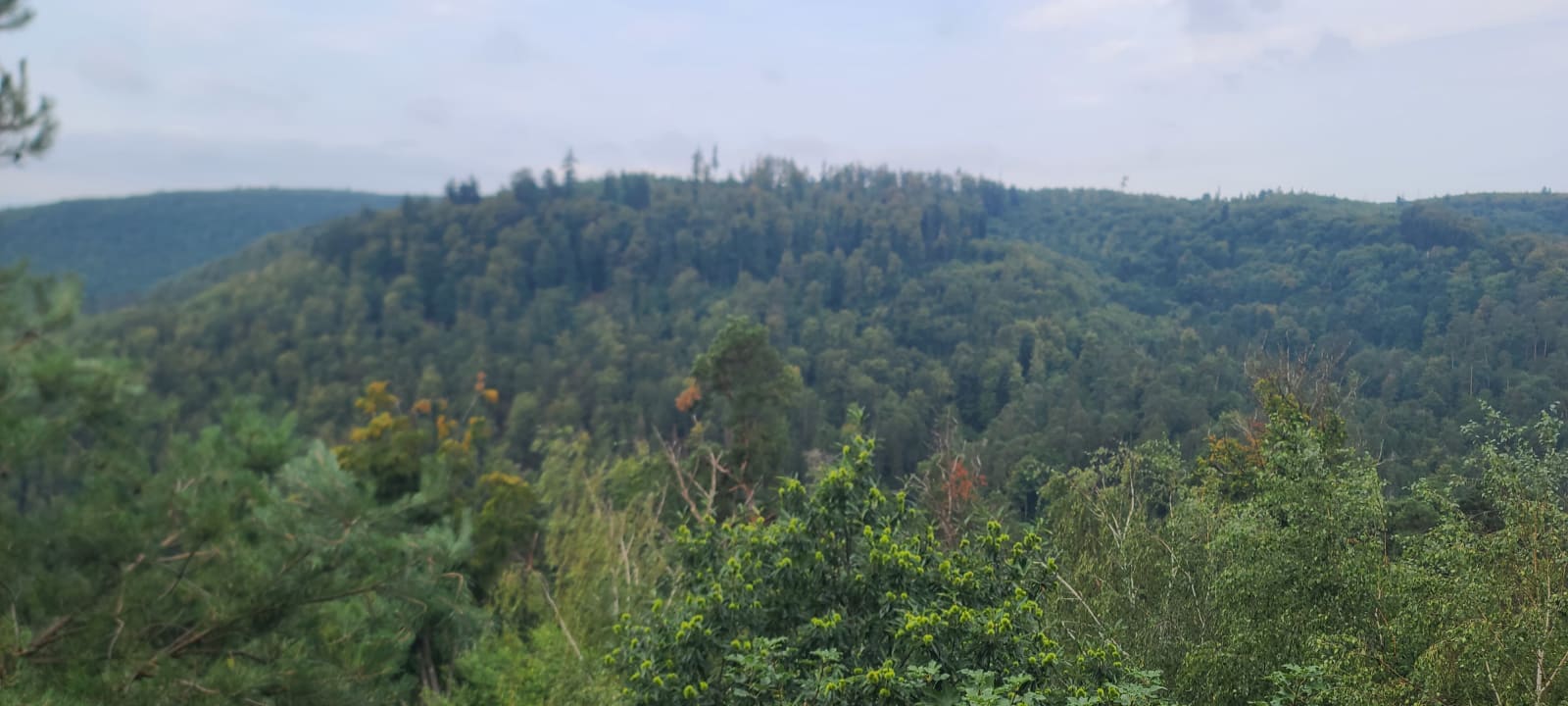 Rocher du Corbeau