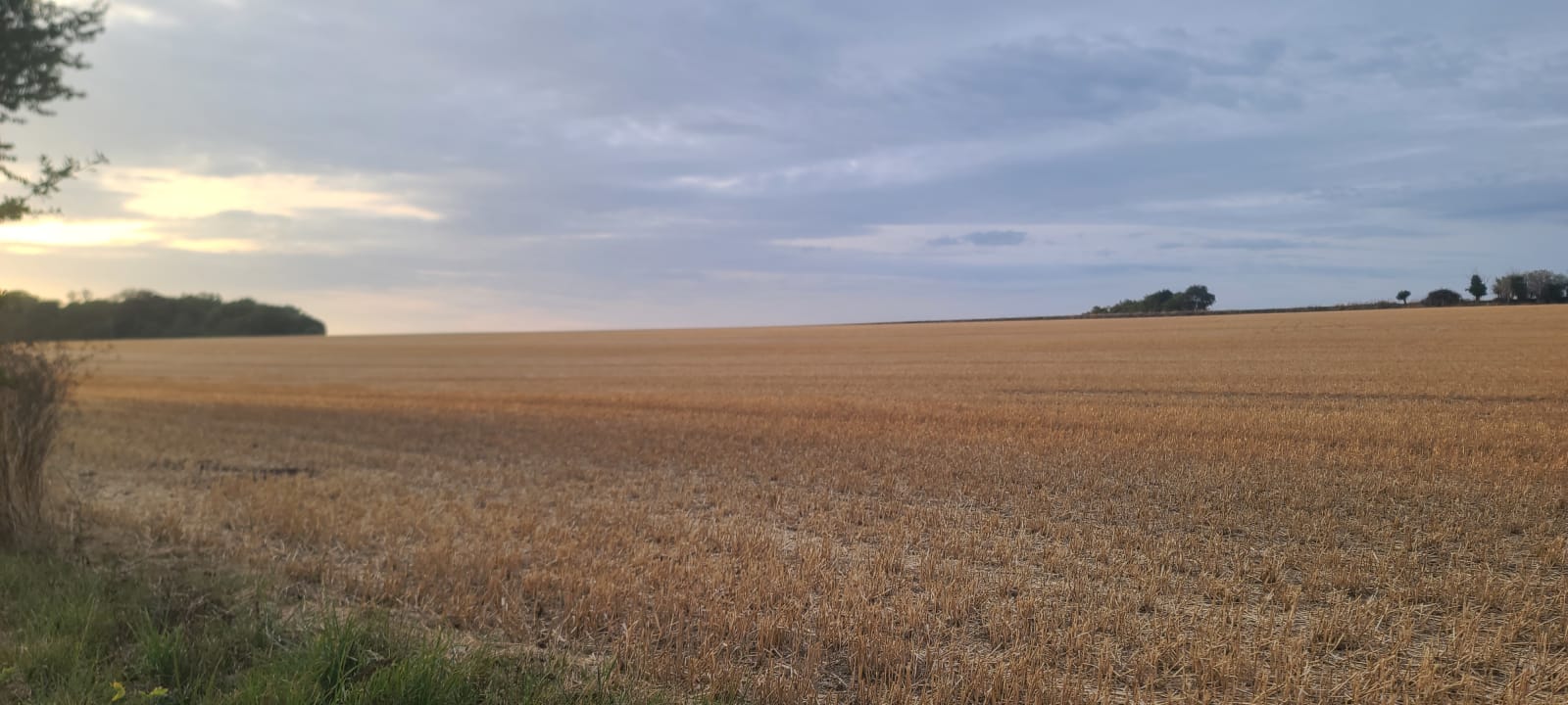 Les boucles d'Amblie, Boucle 06, campagne normande